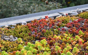 the cost of Hickleton green roof installation