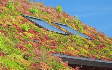 Hickleton living roof systems