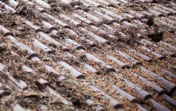 Hickleton roof cleaning companies